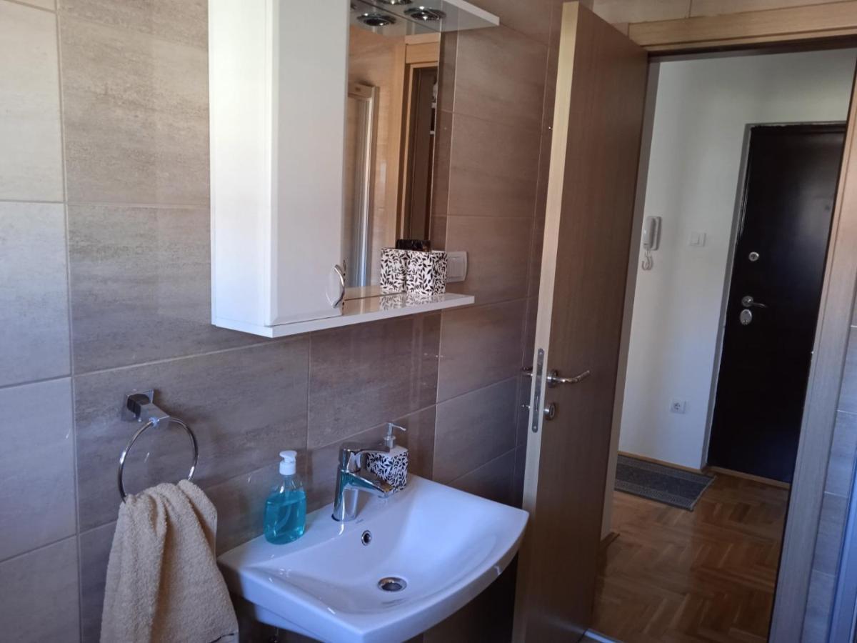 Apartment Srebrni Oblak 阿然德洛维克 外观 照片