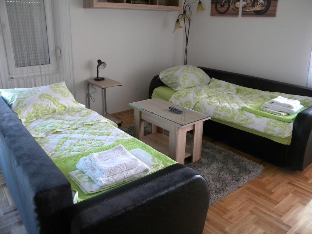 Apartment Srebrni Oblak 阿然德洛维克 外观 照片