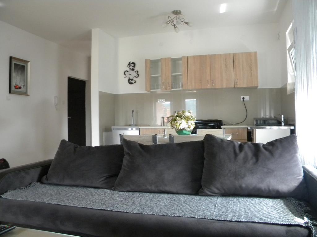 Apartment Srebrni Oblak 阿然德洛维克 外观 照片